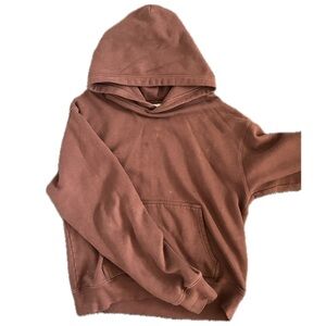 Brown Aritzia Hoodie